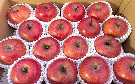 須賀川市産 リンゴ 贈答用 5kg（15～16個）＜箭内厳雄果樹園