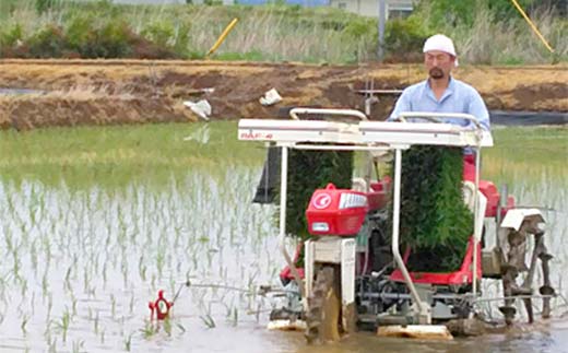 【先行予約】お米の定期便 農薬不使用米 太地米完熟 【こ