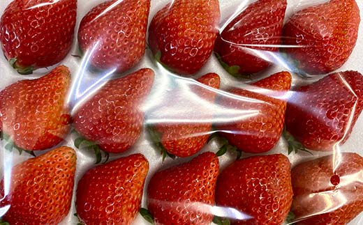 須賀川産いちご「甘園房～あまえんぼう～」BIGサイズ 1パッ