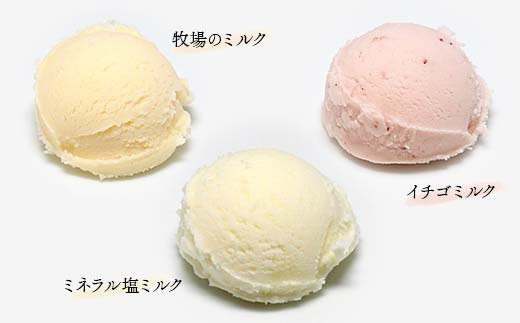 自然栽培農家のジェラート 6個セット ジェラート デザート 