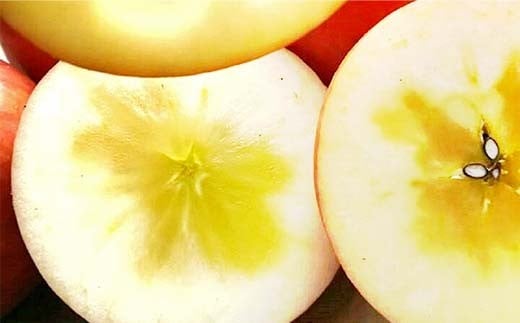 有機農薬使用・完全無肥料栽培「サンふじ」葉とらずりん