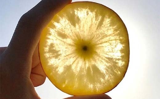 家庭用 有機農薬使用・完全無肥料栽培「サン蜜こうとく」