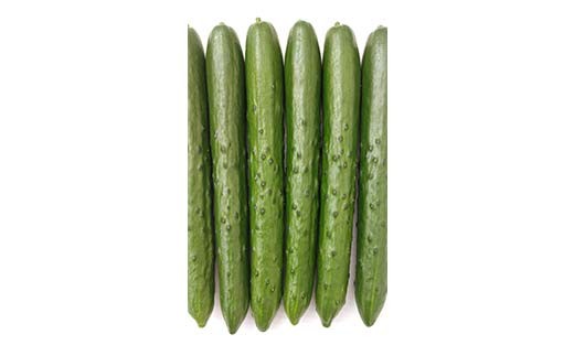 タクシー会社直送 パリッと歯ごたえ 岩瀬きゅうり3kg キュ