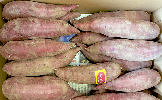 甘さ引き出す 熟成紅はるか 5kg さつまいもS～Mサイズ サツ