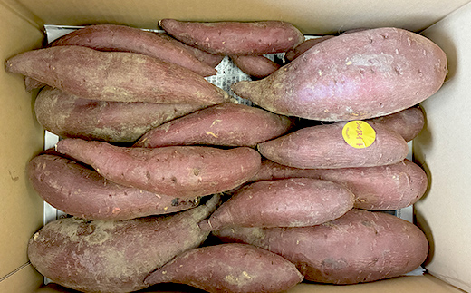 甘さ引き出す 不揃い 熟成シルクスイート 5kg さつまいも サ