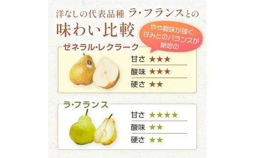 阿部農縁　希少な洋梨ゼネラルレクラーク3kg(6～8玉)　福島