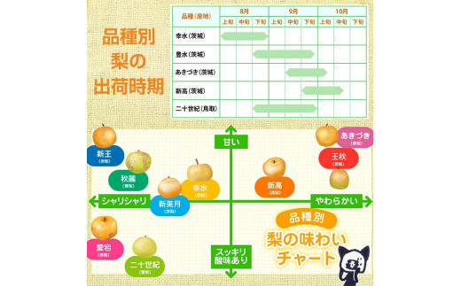 阿部農縁　福島県の和梨　品種おまかせ　旬のなし2kg(5～8