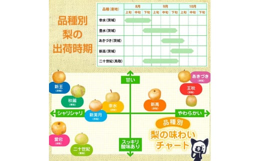 阿部農縁　福島県の和梨　甘くて水分豊富な旬のなし　幸