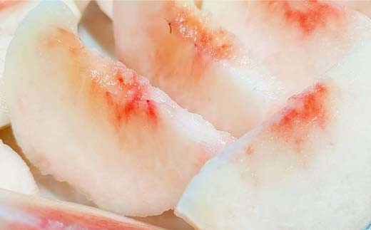 桃 ＜箭内厳雄果樹園＞ もも 2kg 6～9玉 品種おまかせ 贈答用