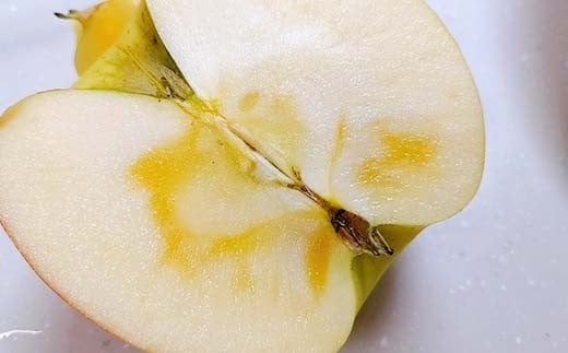 りんご 中玉 18～20個 5kg ＜有我果樹園＞ F7X-0234