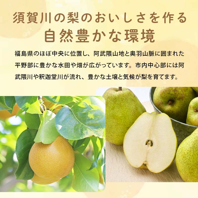 渡辺果樹園のル・レクチェ　2kg F7X-0160