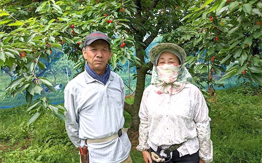 さくらんぼ 佐藤錦 2L 1kg 贈答用 ＜佐藤幸男農園＞ さくらん