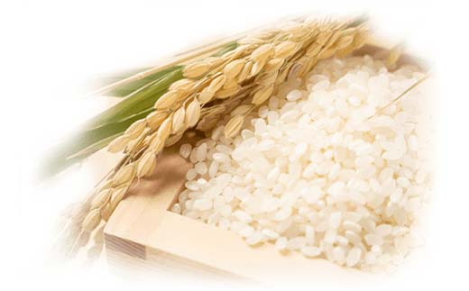 令和6年産米 須賀川市産 ひとめぼれ精米10kg ブランド米 お