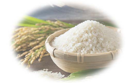 令和6年産米 須賀川市産 にじのきらめき精米10kg ブランド米