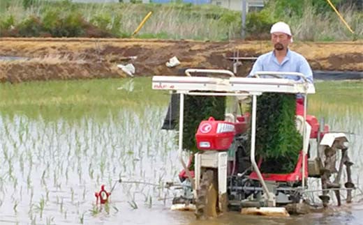 2026年産 特別栽培米 太地米完熟【こしひかり】 玄米 2kg ブ