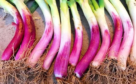 阿部農縁 旬のお野菜わくわくセット（約7～8種類＆加工品