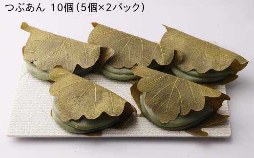 創業から人気の味 かしわ餅20個セット（こしあん・つぶあ