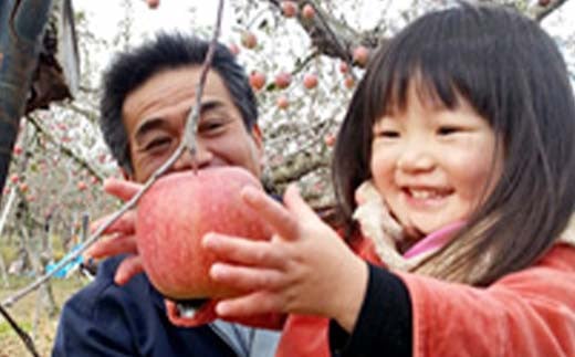 有機農薬使用・完全無肥料栽培「りんご2品種詰合せ」葉と