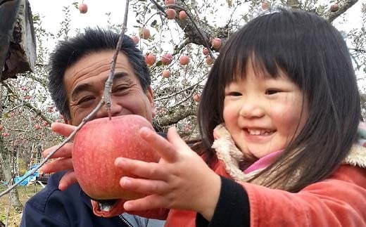 有機農薬使用・完全無肥料栽培「サンふじ」葉とらずりん