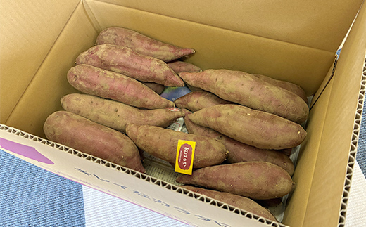 甘さ引き出す 熟成紅はるか 5kg さつまいもS～Mサイズ サツ