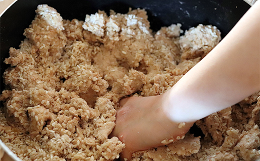 須賀川産コシヒカリ使用 初めての手造り味噌キット 出来上