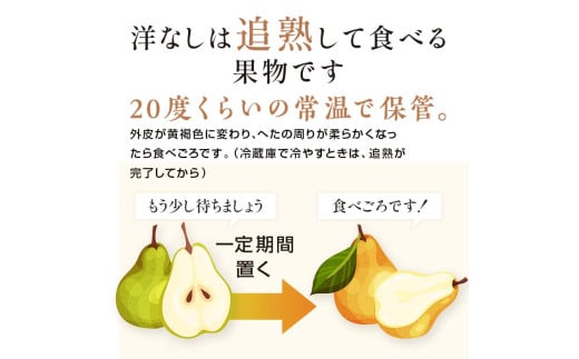 阿部農縁　希少な洋梨ゼネラルレクラーク3kg(6～8玉)　福島