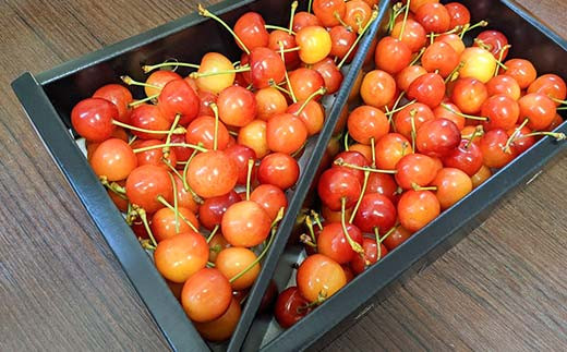 さくらんぼ ＜佐藤幸男農園＞ 佐藤錦 ML混合 1kg バラ詰 F7X-02