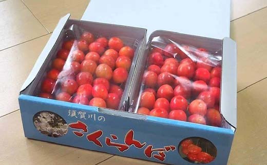 さくらんぼ ＜佐藤幸男農園＞ 佐藤錦 2L 1kg 置き並べ 贈答用