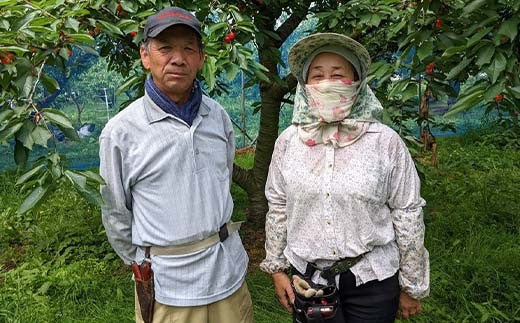 ＜佐藤幸男農園＞りんご 10kg ふじ Lサイズ 26～32玉 F7X-0222