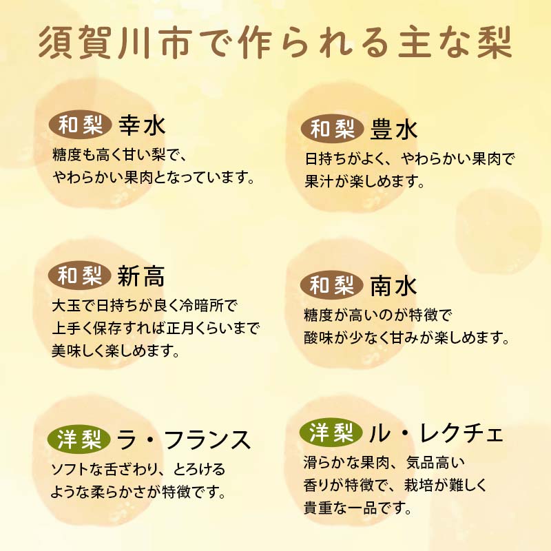 贅沢搾り 洋梨 ル・レクチェ 100％ジュース 200ml×6本 F7X-0166