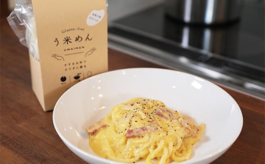 コシヒカリ白米 う米めん 9食セット 無添加 グルテンフリー