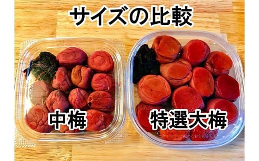 無添加 手作り梅干し 特選 大梅 250g×3パック F7X-0039