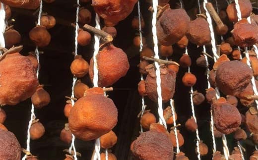 ＜真空パック冷凍＞平核無柿(ひらたねなしがき)の手作り干