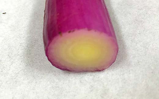 明治から守る伝統野菜「曲がりネギ 赤」約3kg F7X-0074