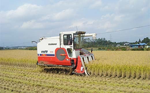 2026年産 自然栽培米 太地米完熟【こしひかり】 玄米 2kg ブ