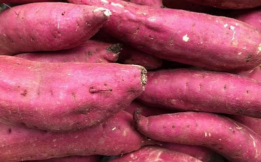 阿部農縁 旬のお野菜わくわくセット（約7～8種類＆加工品