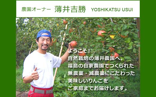 りんごの樹のオーナー ブロンズ（サンふじ100個） 体験 農