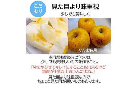 りんご 2色 リンゴ ぐんま名月 フジ 3kg 9～11個 御歳暮 ＜有