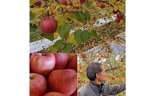 りんご 家庭用 5kg バラ積め 保証+1kg入＜有我果樹園＞ りん