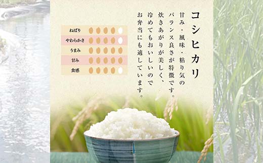 お米の定期便 自然栽培米 太地米完熟 【こしひかり】 玄米1