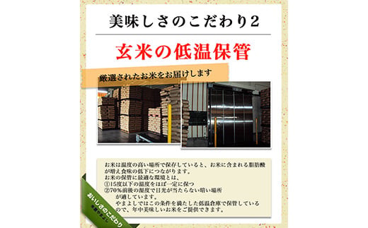 【9か月定期便】令和7年産 福島県須賀川産 ミルキークイー