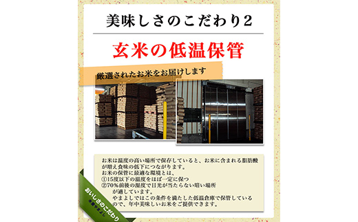 【9か月定期便】令和7年産 福島県須賀川産 ミルキークイー