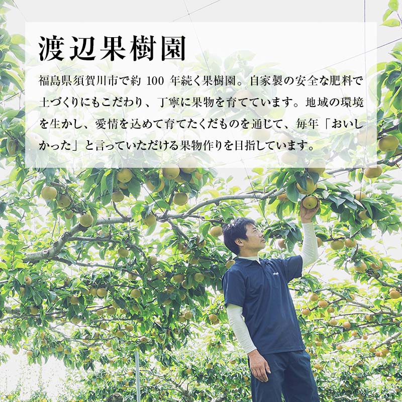 渡辺果樹園の南水梨　約3kg＜9月上旬～9月下旬にお届け＞ F7