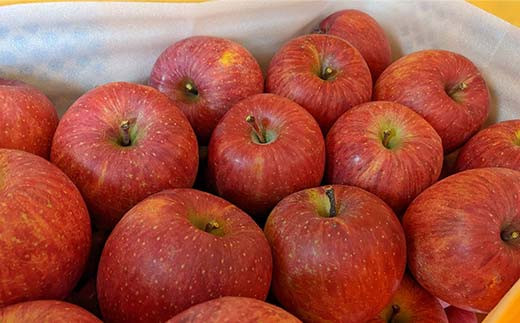 りんご 中玉 18～20個 5kg ＜有我果樹園＞ F7X-0234