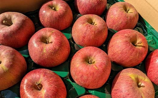 ＜佐藤幸男農園＞りんご 10kg ふじ Lサイズ 26～32玉 F7X-0222