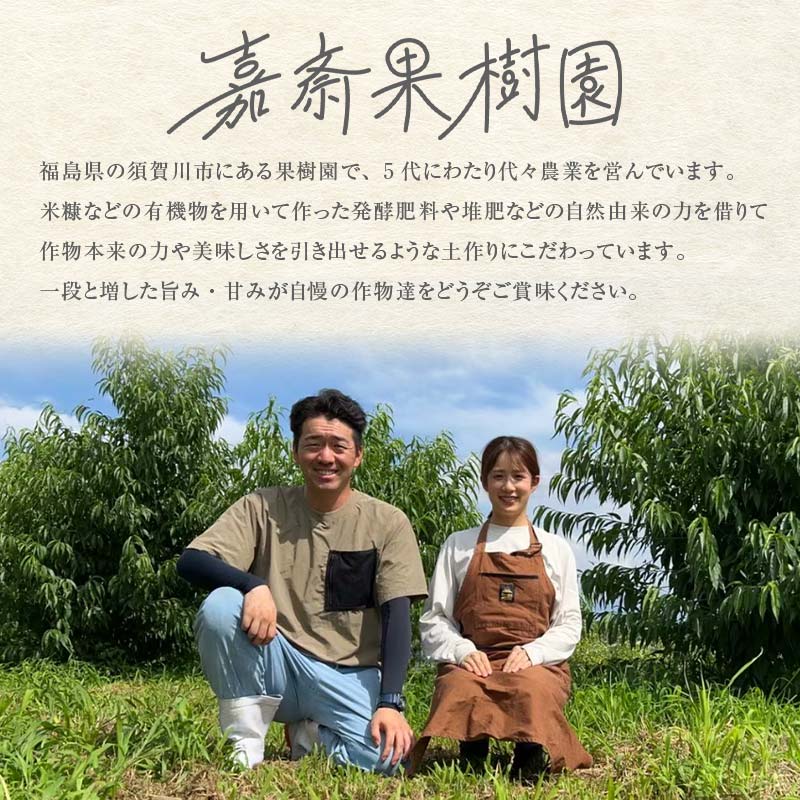 ＜先行受付＞ 嘉斎果樹園の梨「豊水」約3kg（7～10個） なし