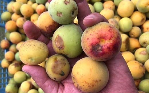 昔ながらの味 正子ばあちゃんの天日干し梅干し 塩分7% 150g×