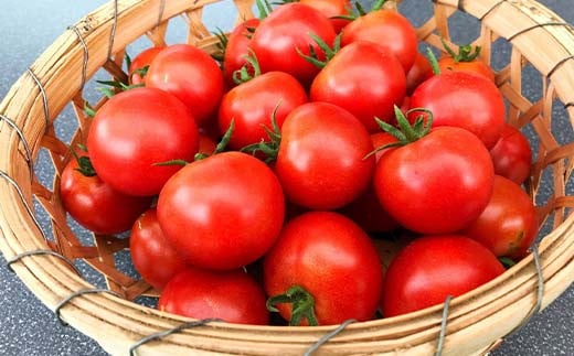 阿部農縁 旬のお野菜わくわくセット（約7～8種類＆加工品