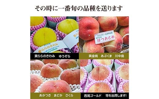 桃 品種おまかせ 2kg 6～9個 もも 贈答 プレゼント ＜佐藤果