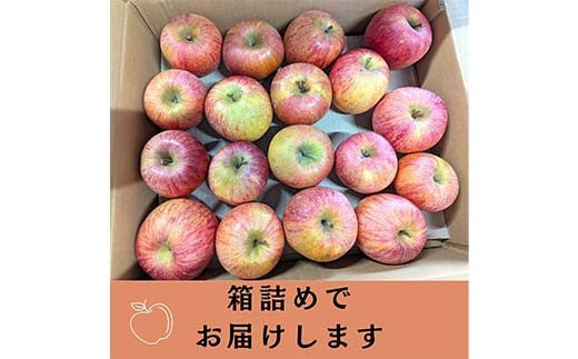 りんご 家庭用 5kg バラ積め 保証+1kg入＜有我果樹園＞ りん